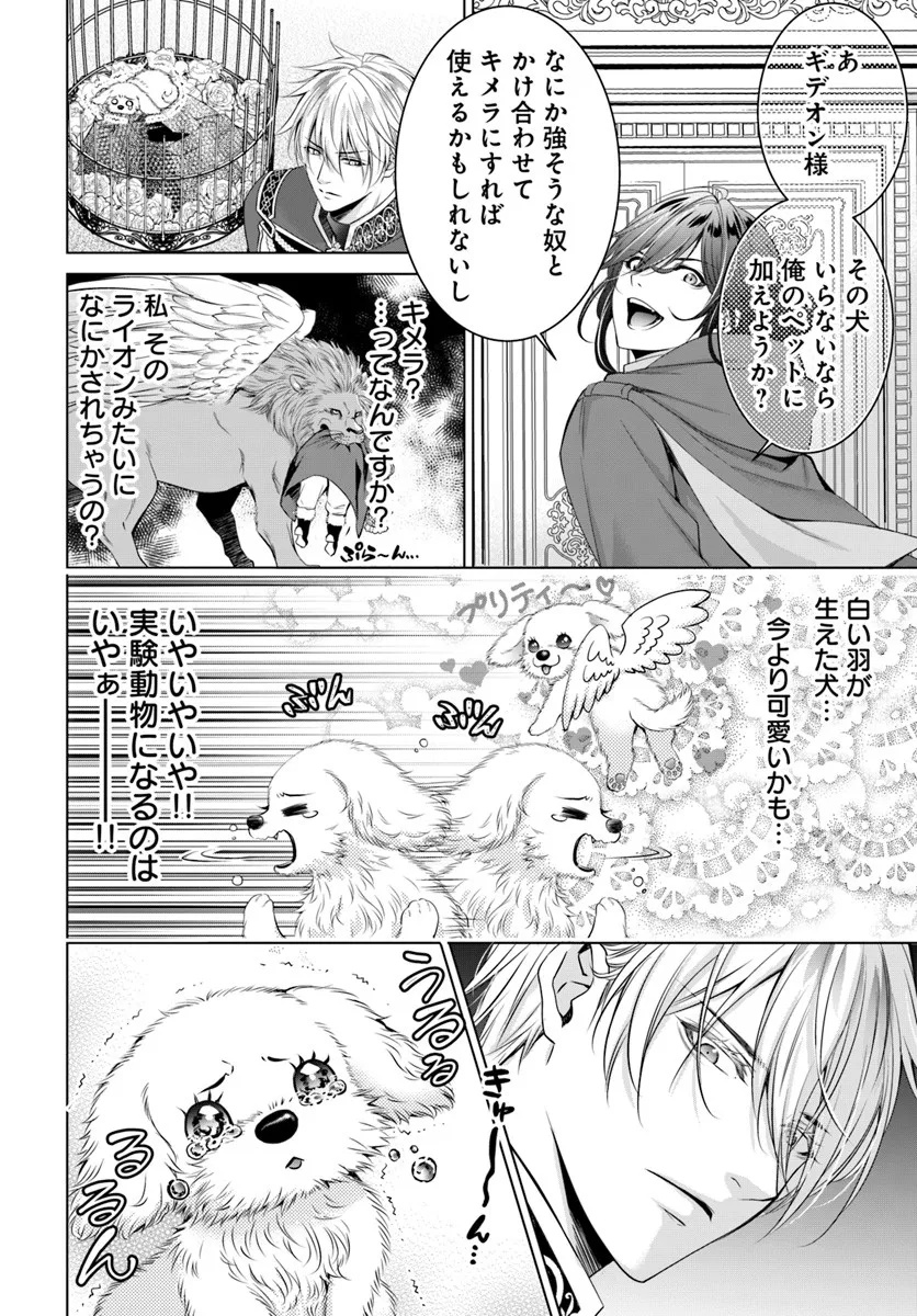 Kokuou Heika, Watashi wo Katte Kudasai! Chapter 2 20ページ