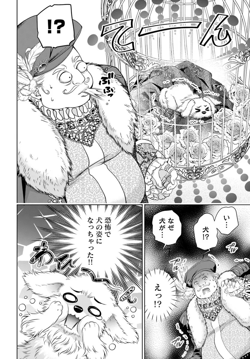 Kokuou Heika, Watashi wo Katte Kudasai! Chapter 2 10ページ