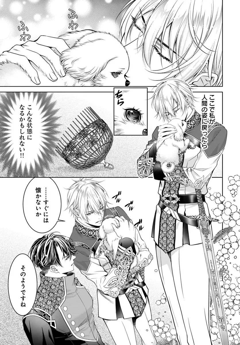 Kokuou Heika, Watashi wo Katte Kudasai! Chapter 3 1ページ