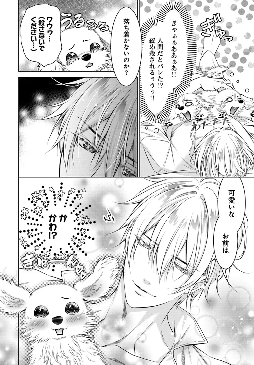 Kokuou Heika, Watashi wo Katte Kudasai! Chapter 3 12ページ