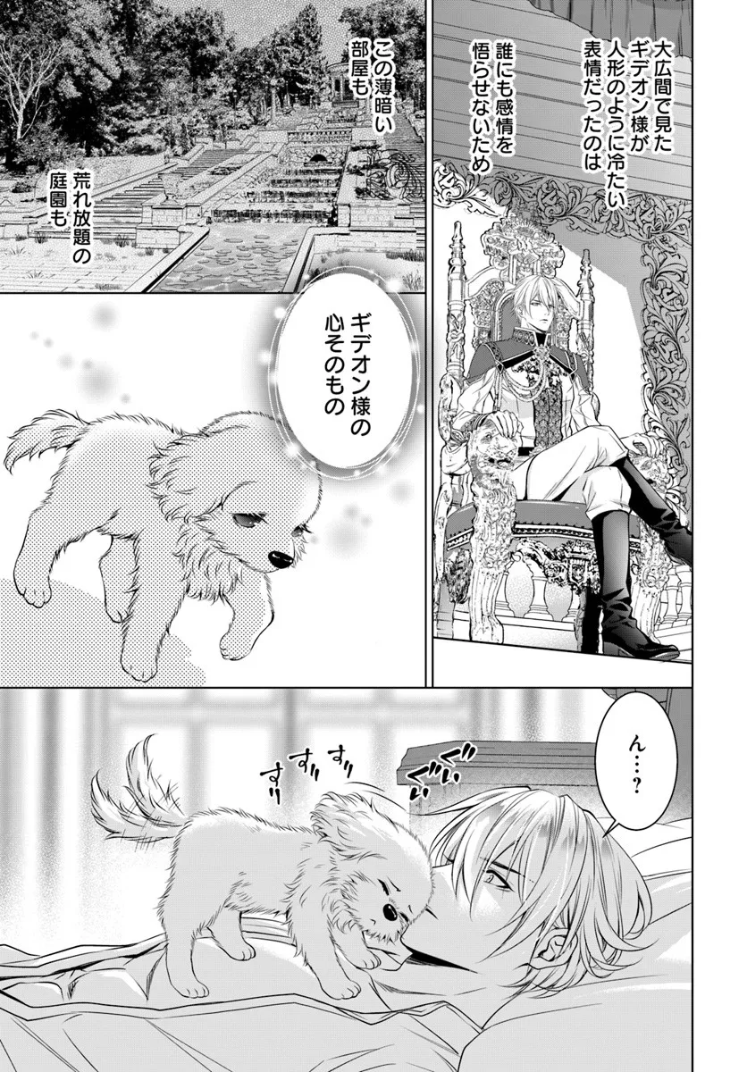 Kokuou Heika, Watashi wo Katte Kudasai! Chapter 3 15ページ