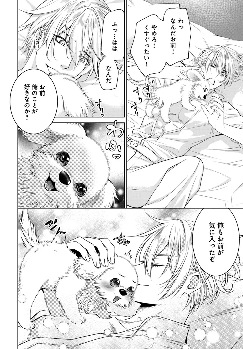 Kokuou Heika, Watashi wo Katte Kudasai! Chapter 3 16ページ