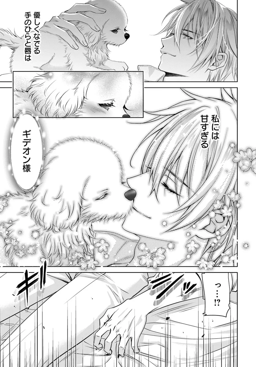Kokuou Heika, Watashi wo Katte Kudasai! Chapter 3 19ページ