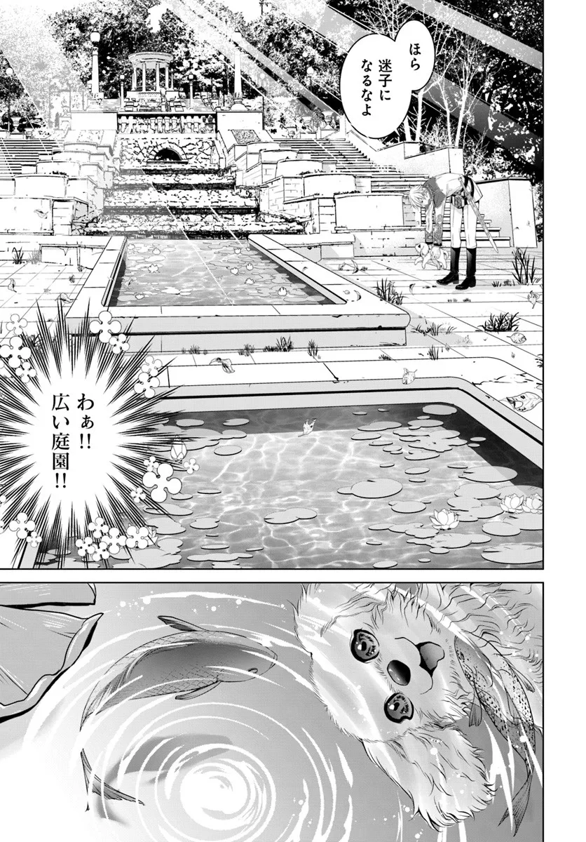Kokuou Heika, Watashi wo Katte Kudasai! Chapter 3 3ページ