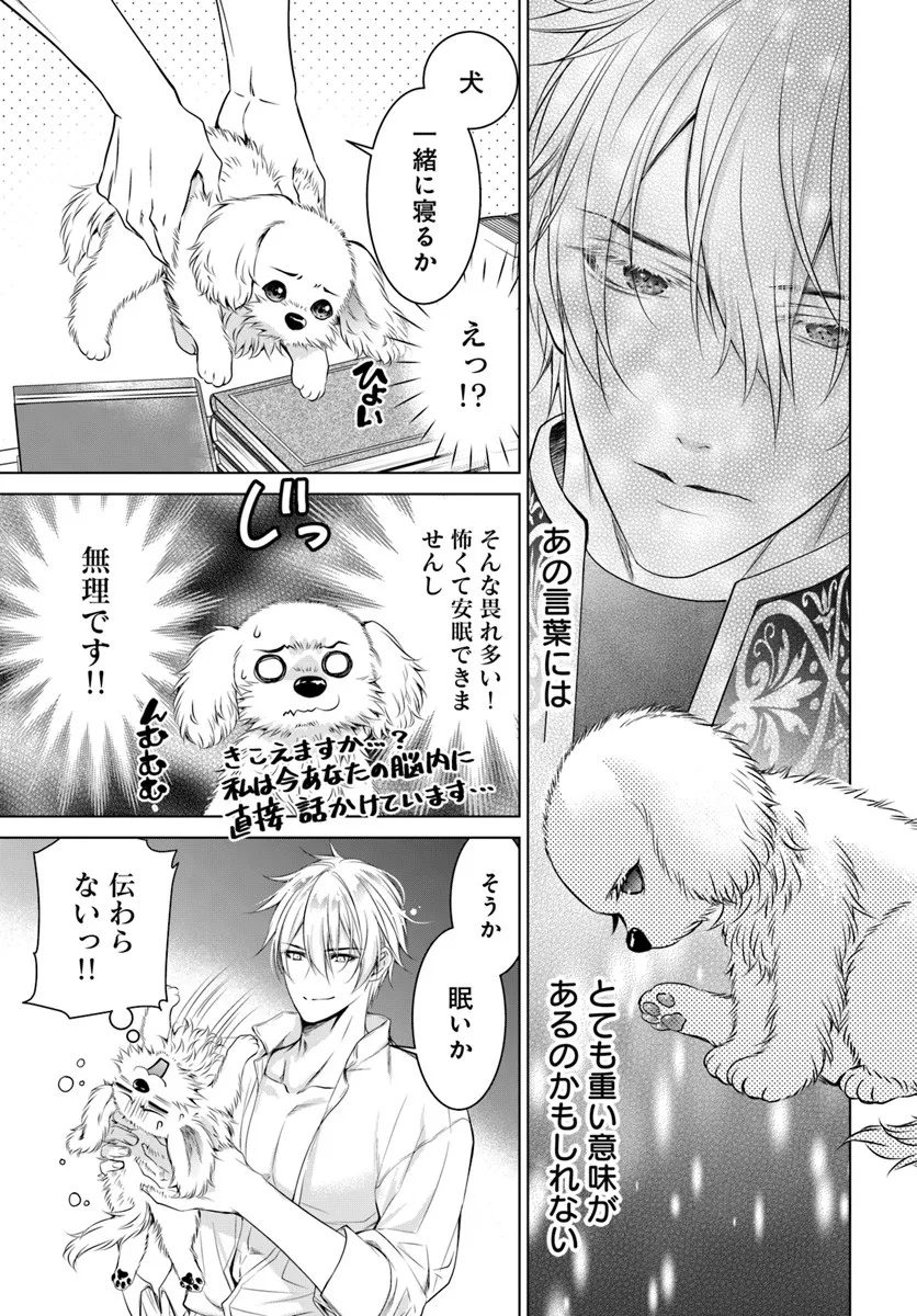 Kokuou Heika, Watashi wo Katte Kudasai! Chapter 3 7ページ