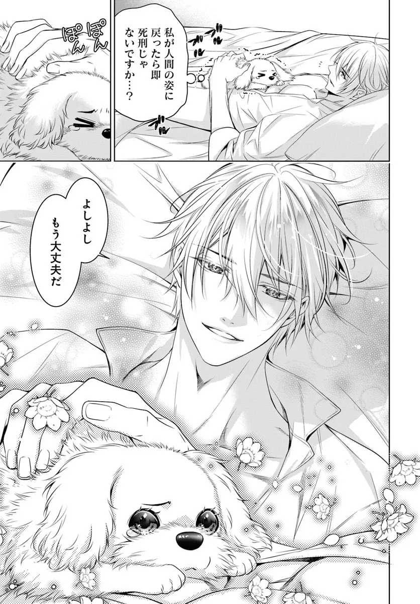 Kokuou Heika, Watashi wo Katte Kudasai! Chapter 3 9ページ