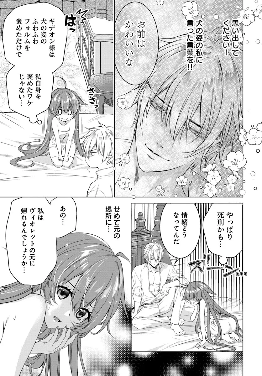 Kokuou Heika, Watashi wo Katte Kudasai! Chapter 4 11ページ