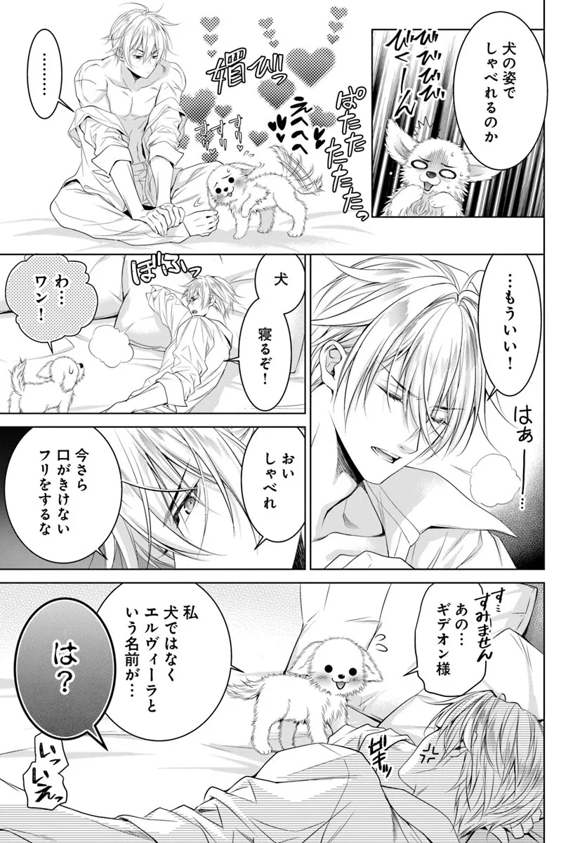 Kokuou Heika, Watashi wo Katte Kudasai! Chapter 5 11ページ