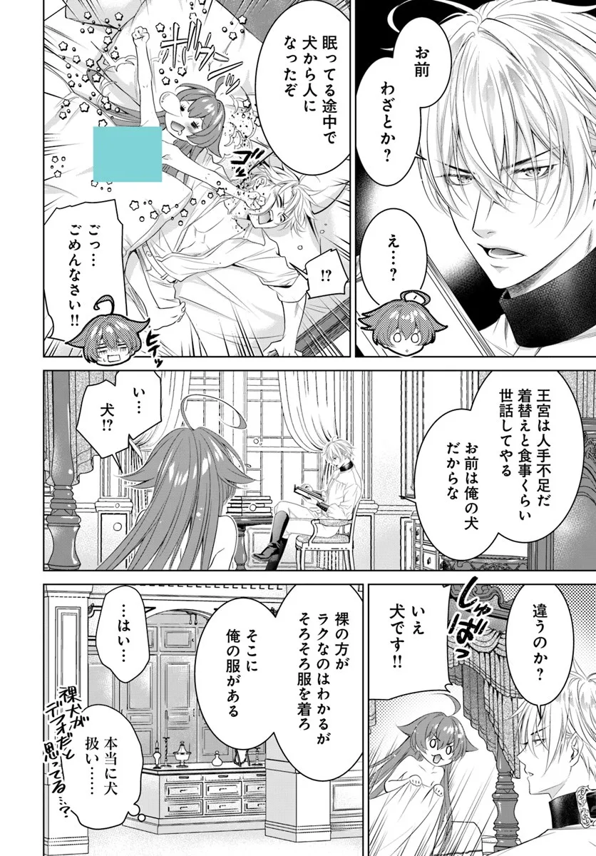 Kokuou Heika, Watashi wo Katte Kudasai! Chapter 5 14ページ