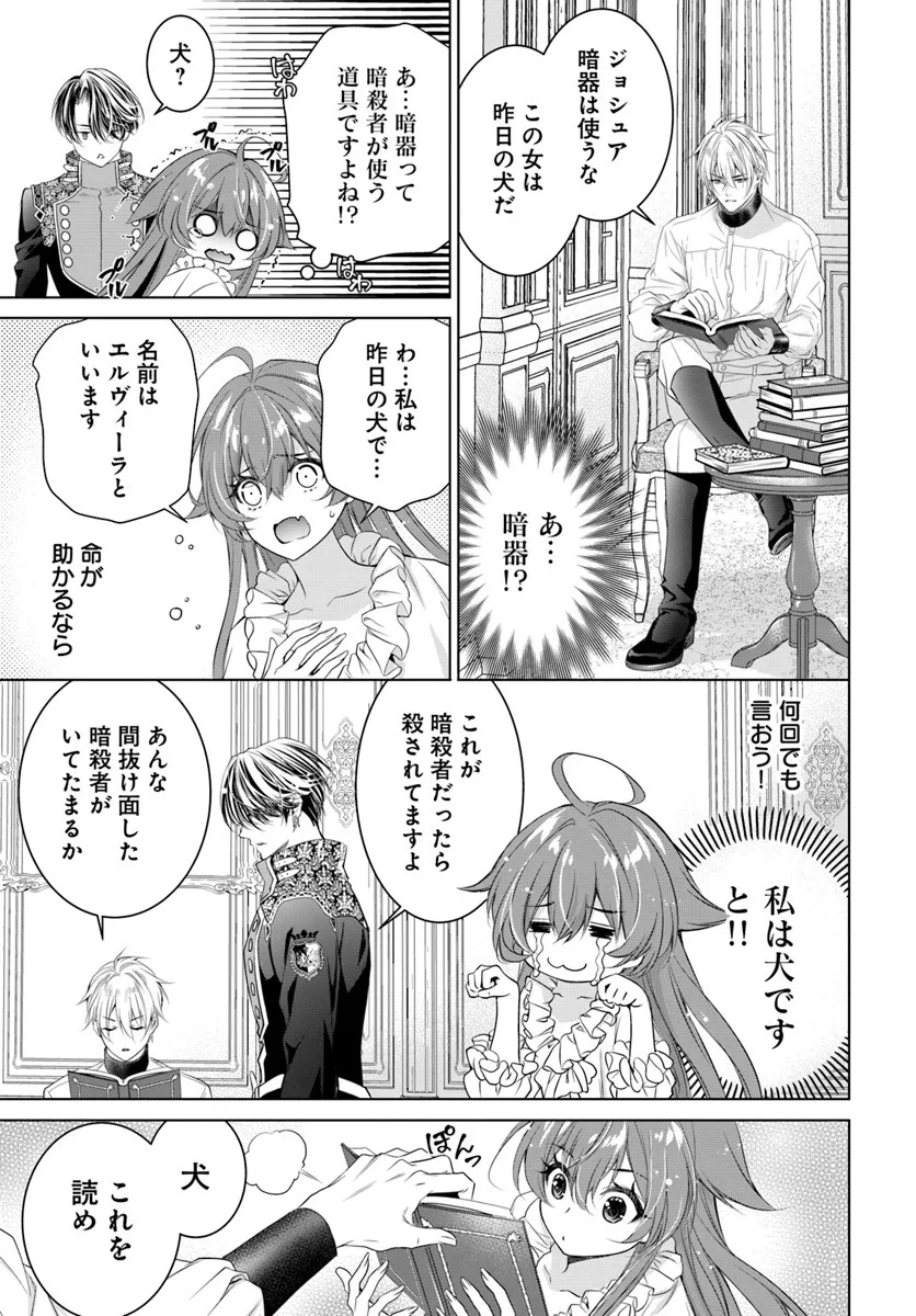 Kokuou Heika, Watashi wo Katte Kudasai! Chapter 5 17ページ