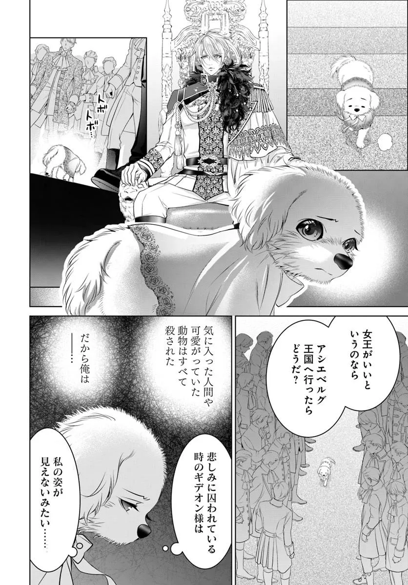 Kokuou Heika, Watashi wo Katte Kudasai! Chapter 7 12ページ