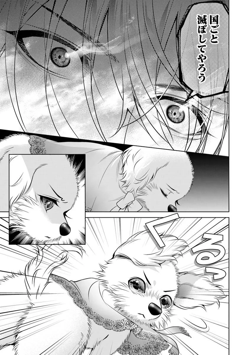 Kokuou Heika, Watashi wo Katte Kudasai! Chapter 7 13ページ