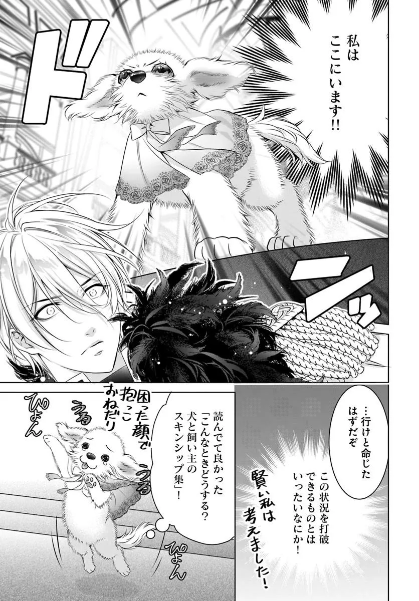 Kokuou Heika, Watashi wo Katte Kudasai! Chapter 7 15ページ