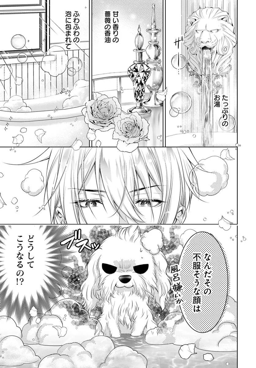 Kokuou Heika, Watashi wo Katte Kudasai! Chapter 9.1 1ページ