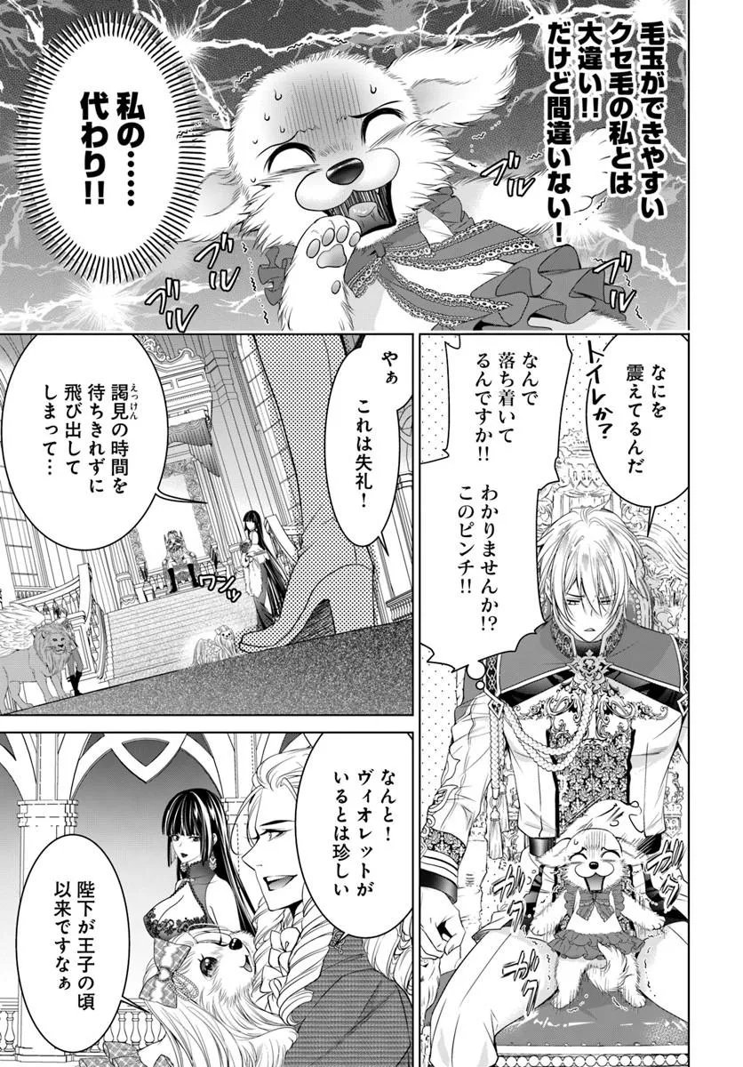 Kokuou Heika, Watashi wo Katte Kudasai! Chapter 10.2 2ページ