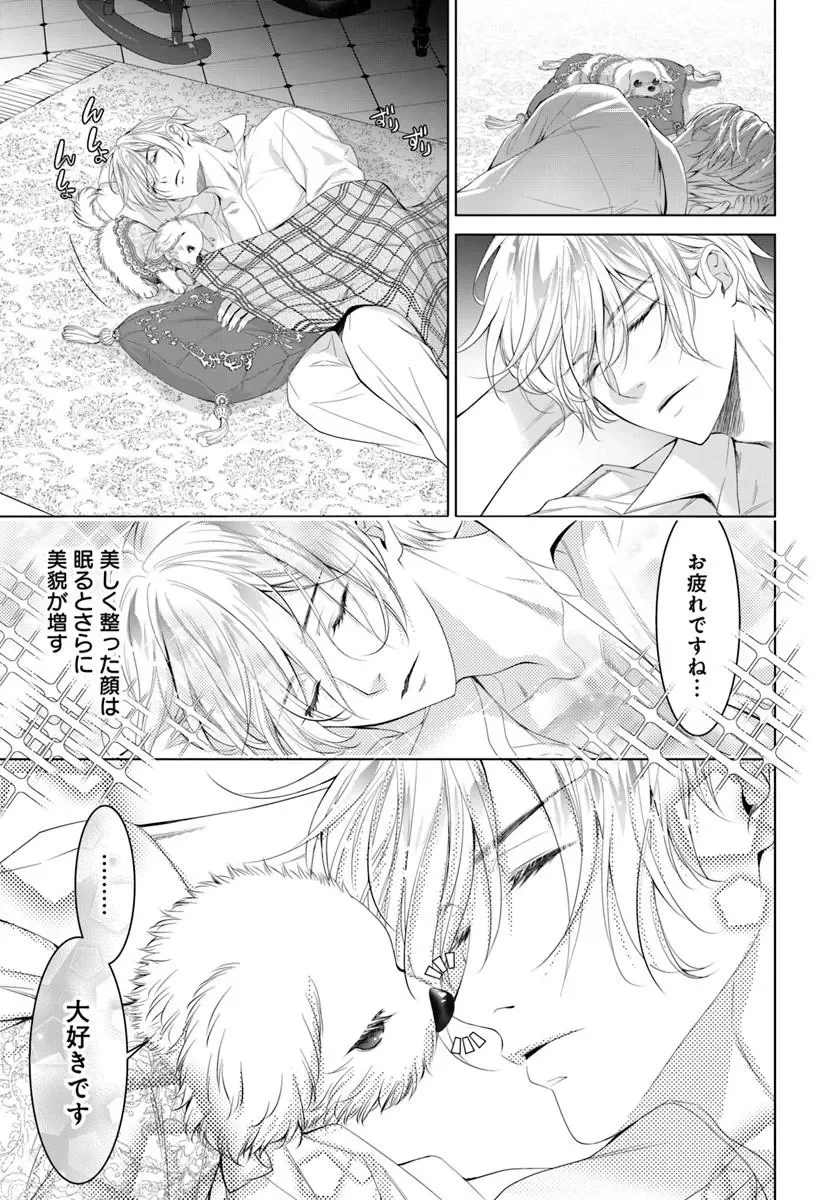 Kokuou Heika, Watashi wo Katte Kudasai! Chapter 11.1 5ページ