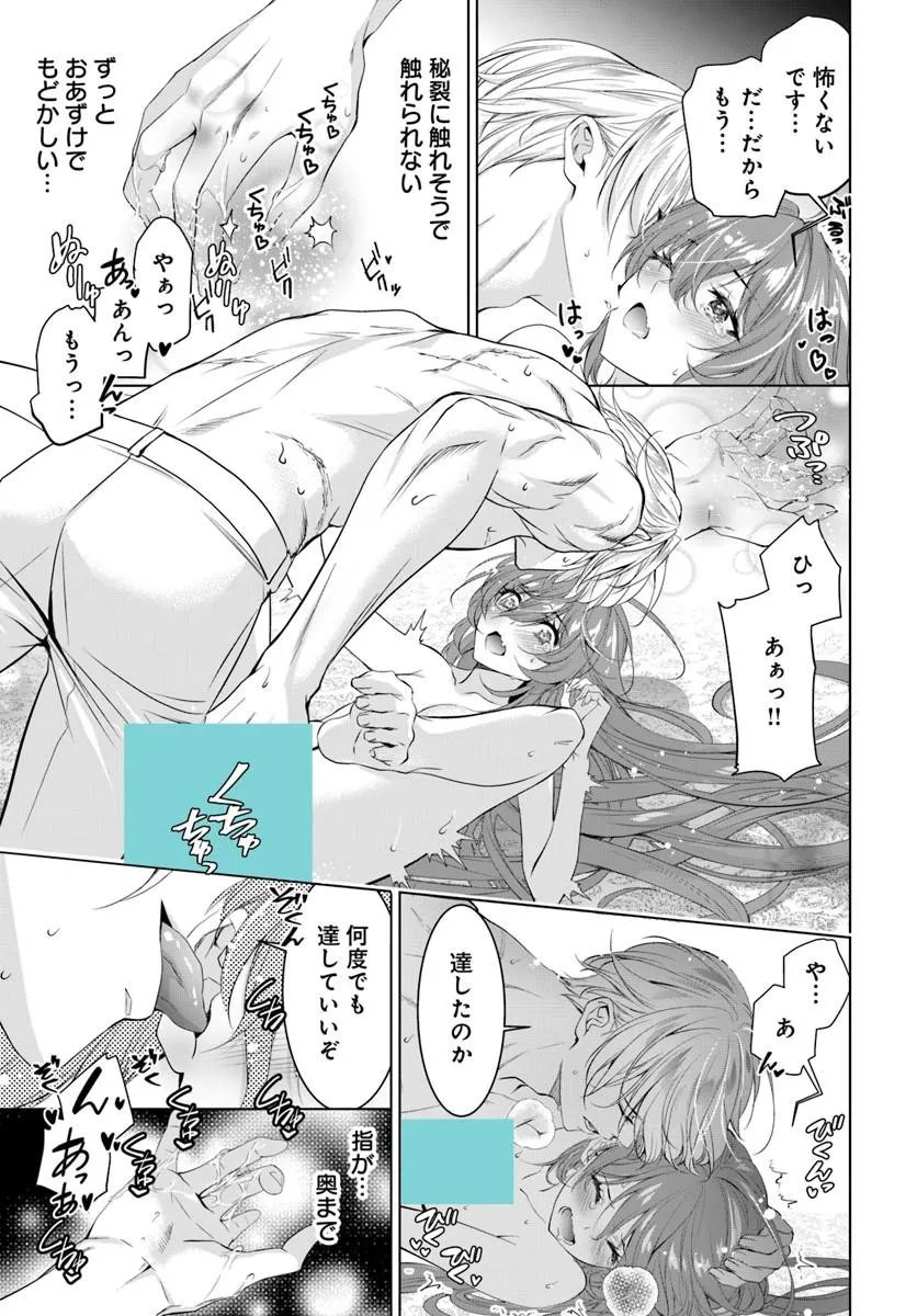 Kokuou Heika, Watashi wo Katte Kudasai! Chapter 11.2 3ページ