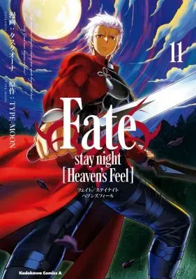 Fate/Stay Night - Heaven's Feelの漫画表紙