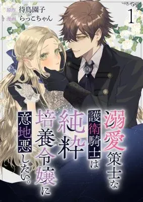 Dekiai Sakushi na Goei Kishi wa Junsui Baiyou Reijou ni Ijiwaru Shitai.の漫画表紙