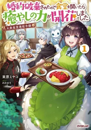 Taishuu Shokudou Akuyaku Reijou ~Konyaku Haki saretanode Shokudou wo Aitara Iyashi no Chikara ga Kaika shimashita~の漫画表紙