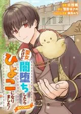 Seijo Dakedo Yami Ochi Shitara Hiyoko ni Narimashita!の漫画表紙