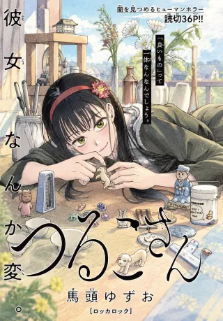 Tsuruko-sanの漫画表紙
